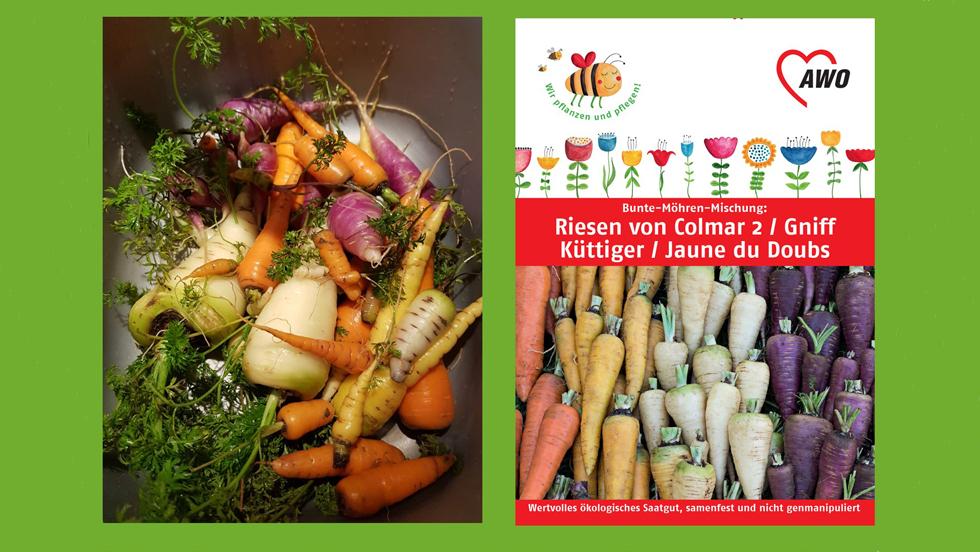 Bunte Mischung