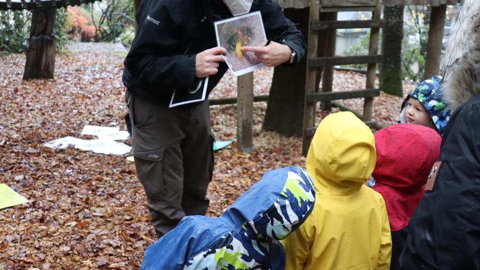 Veranschaulichung Wildbienen