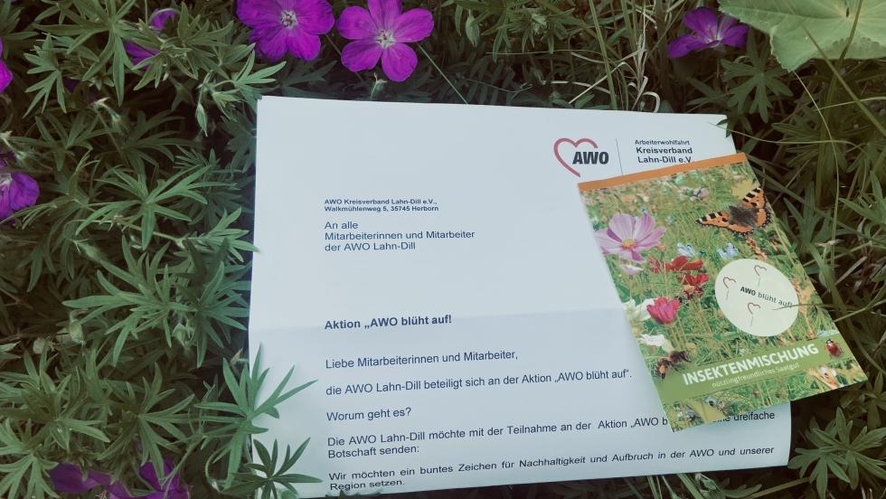 Aussaat zu Hause
